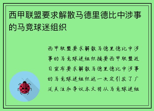西甲联盟要求解散马德里德比中涉事的马竞球迷组织